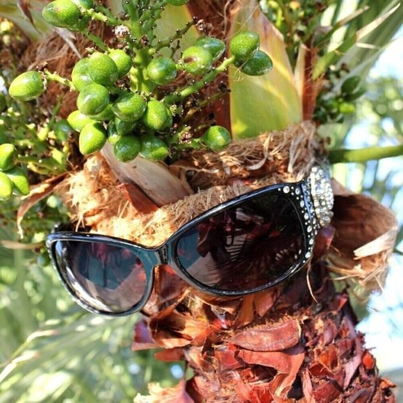 Montana West Concho Sunglasses Rhinestone in Black main image 12